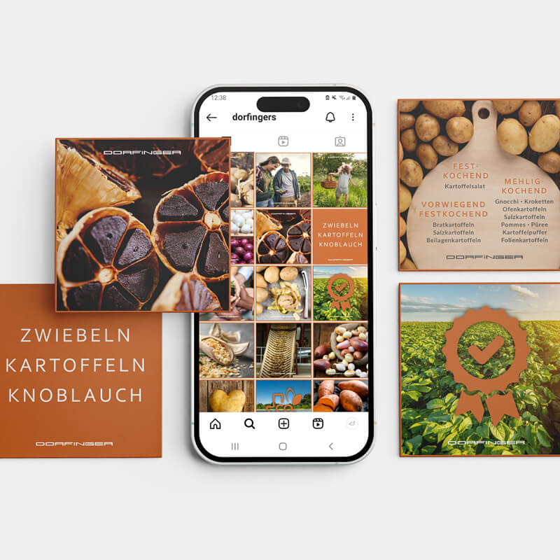 Dorfinger Social Media Beispiel Grafiken